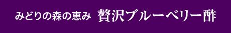 みどりの森の恵み 贅沢ブルーベリー酢